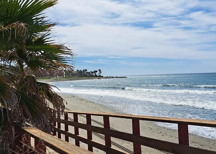 Hello Cosmo * Estepona